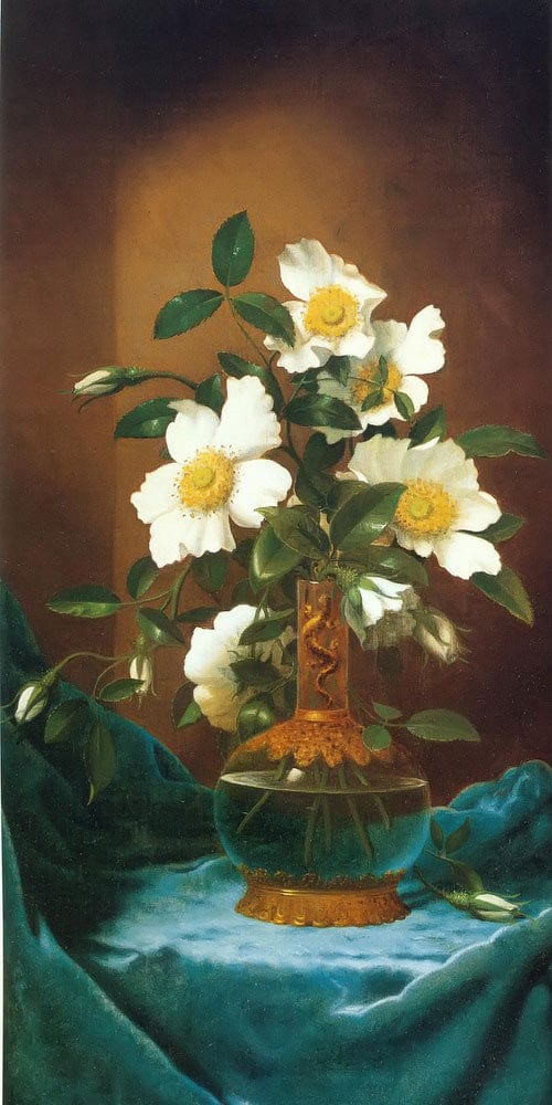 White Cherokee Roses In A Salamander Vase By Martin Johnson Heade Fine Art Print