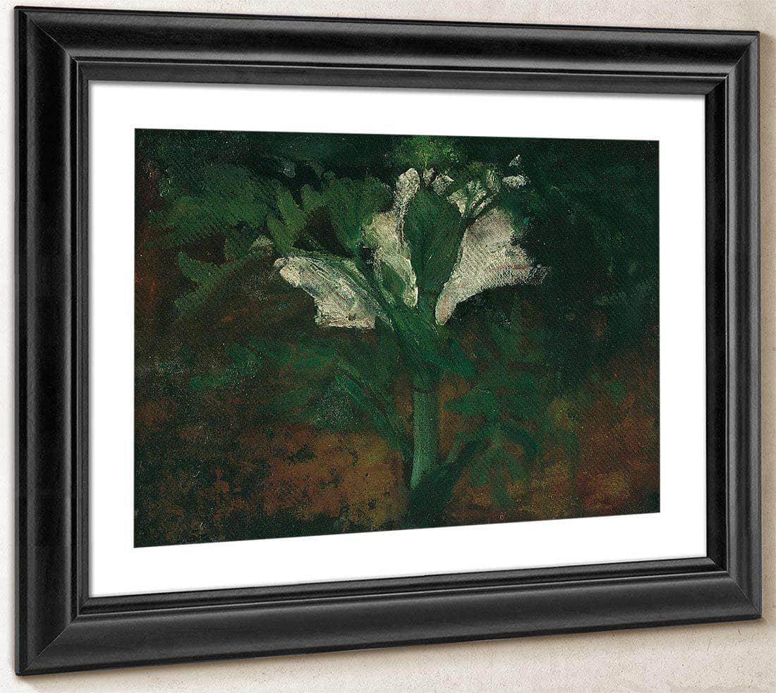 White Flower By Nicolai Astrup Fine Art Print
