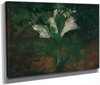 White Flower By Nicolai Astrup Fine Art Print