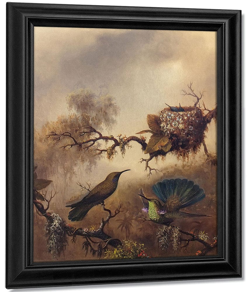 White Vented Violet Ear By Martin Johnson Heade Fine Art Print