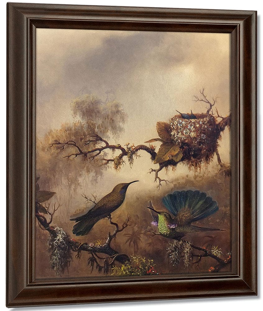 White Vented Violet Ear By Martin Johnson Heade Fine Art Print