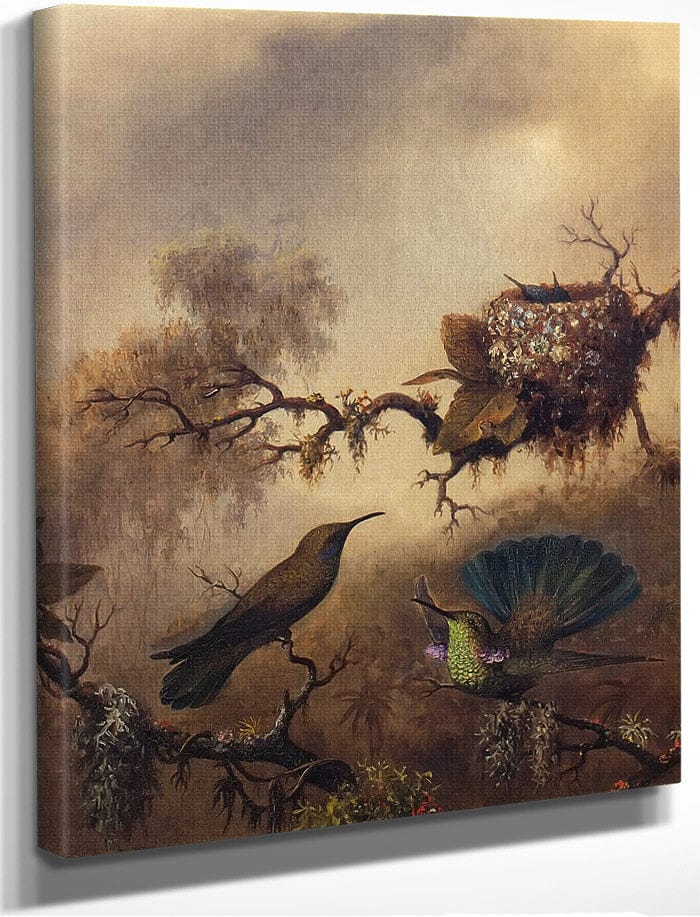 White Vented Violet Ear By Martin Johnson Heade Fine Art Print