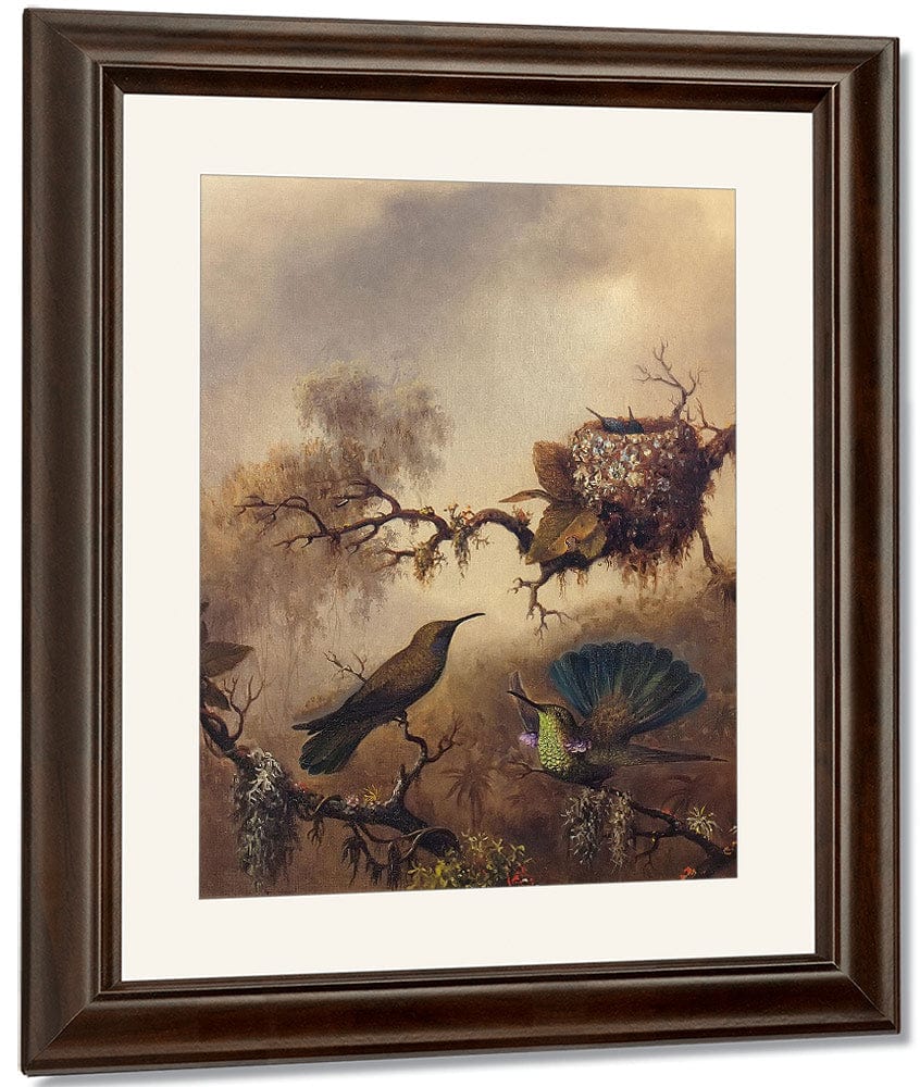 White Vented Violet Ear By Martin Johnson Heade Fine Art Print