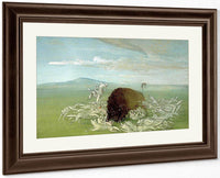 White Wolves Attacking A Buffalo Bull By George Catlin Fine Art Print