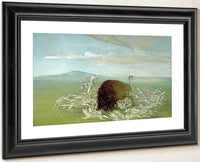 White Wolves Attacking A Buffalo Bull By George Catlin Fine Art Print