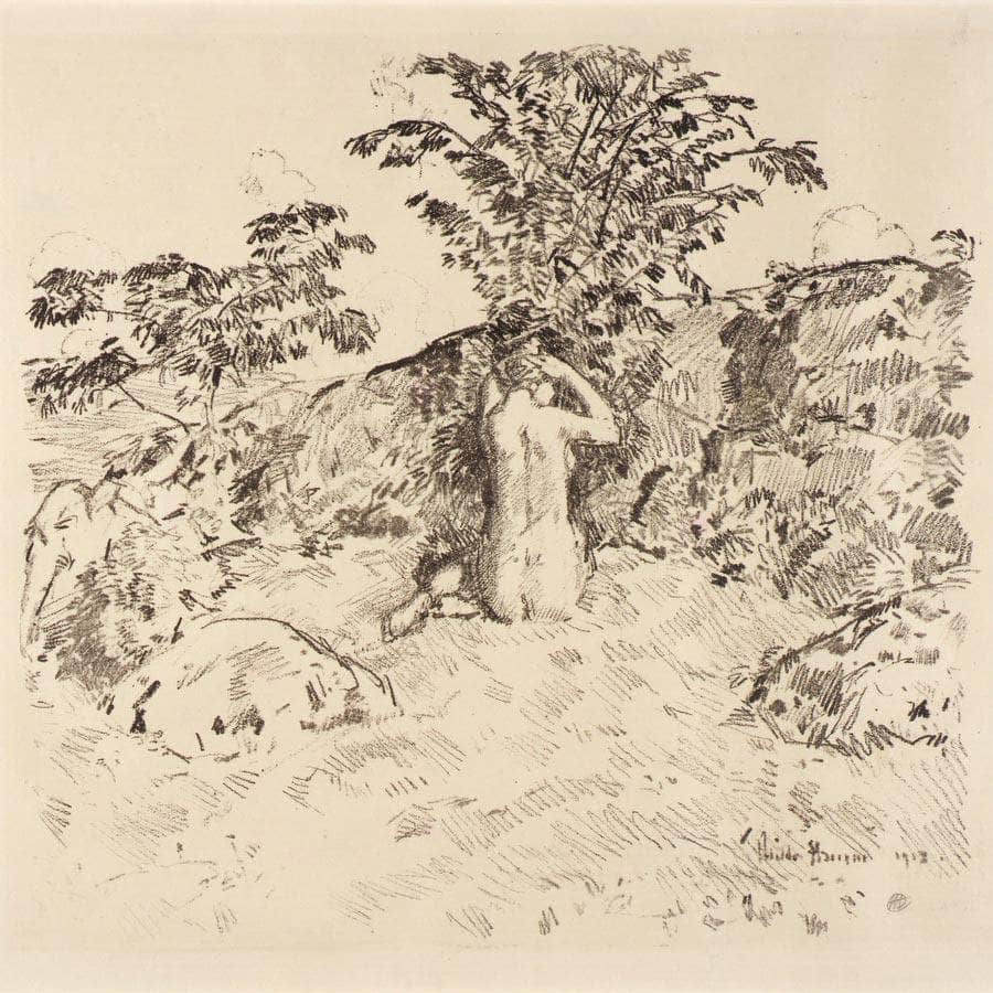 Wild Cherry Tree By Childe Hassam Fine Art Print