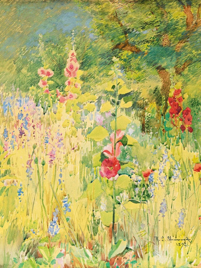Wild Flowers By Rosina Emmet Sherwood Fine Art Print