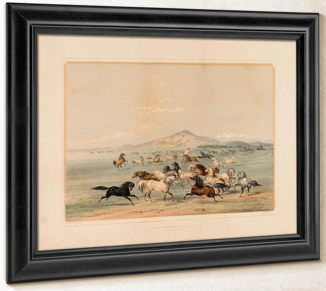 Wild Horses At Play  No. 3 By George Catlin Fine Art Print