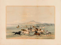 Wild Horses At Play  No. 3 By George Catlin Fine Art Print