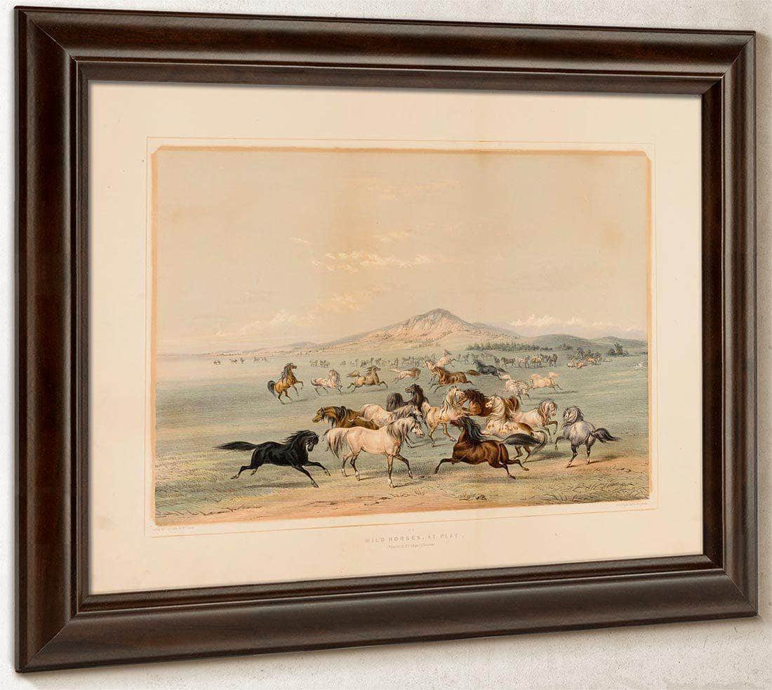 Wild Horses At Play  No. 3 By George Catlin Fine Art Print
