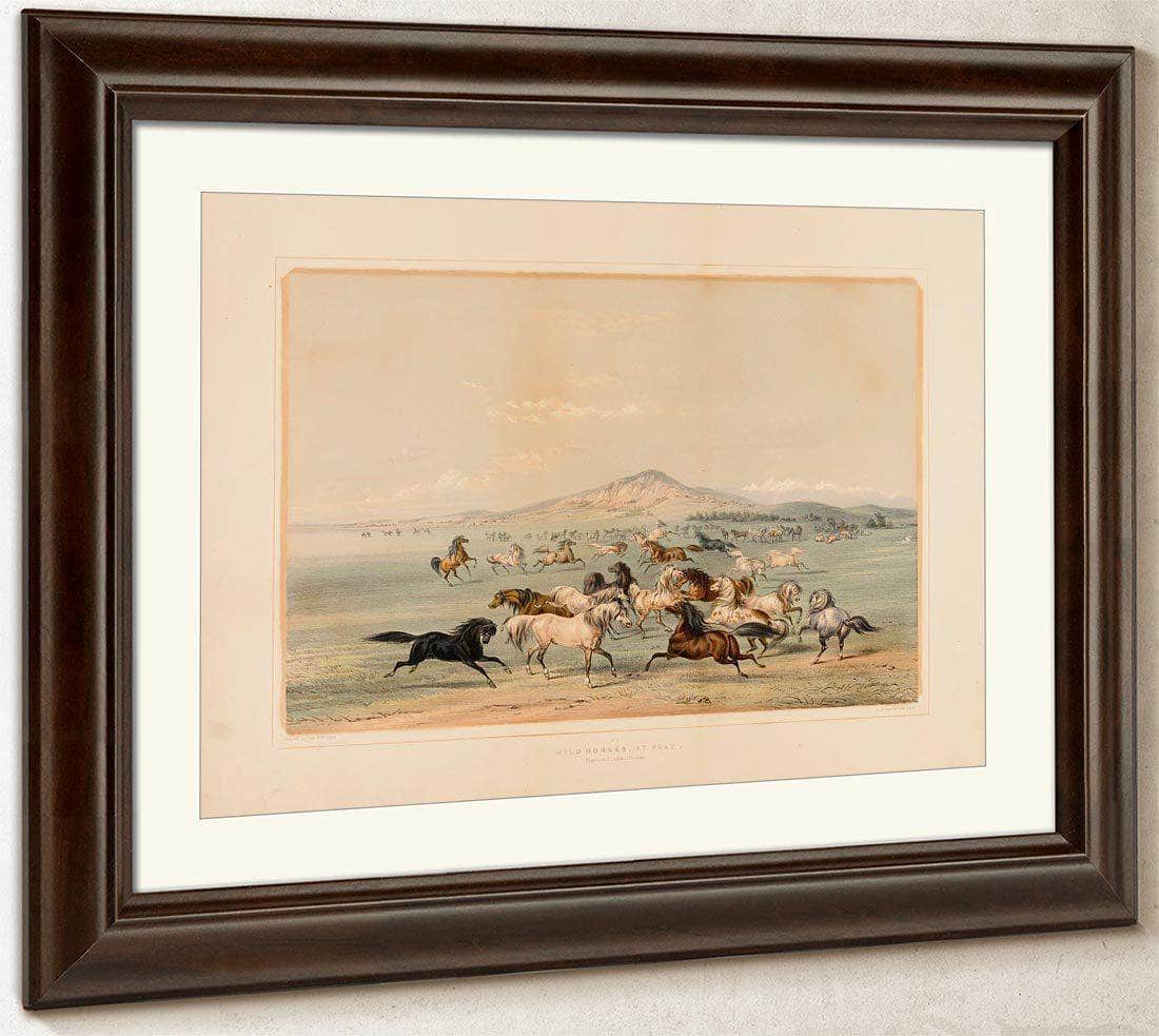 Wild Horses At Play  No. 3 By George Catlin Fine Art Print