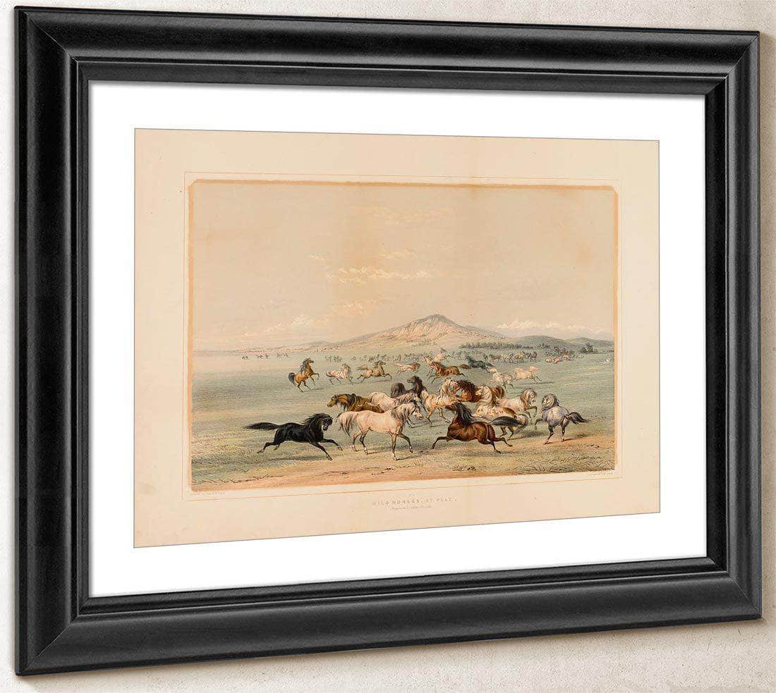 Wild Horses At Play  No. 3 By George Catlin Fine Art Print