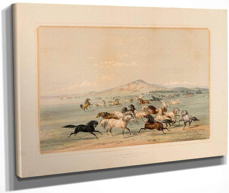 Wild Horses At Play  No. 3 By George Catlin Fine Art Print