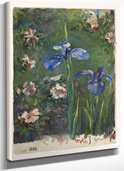 Wild Roses And Irises By John La Farge Fine Art Print