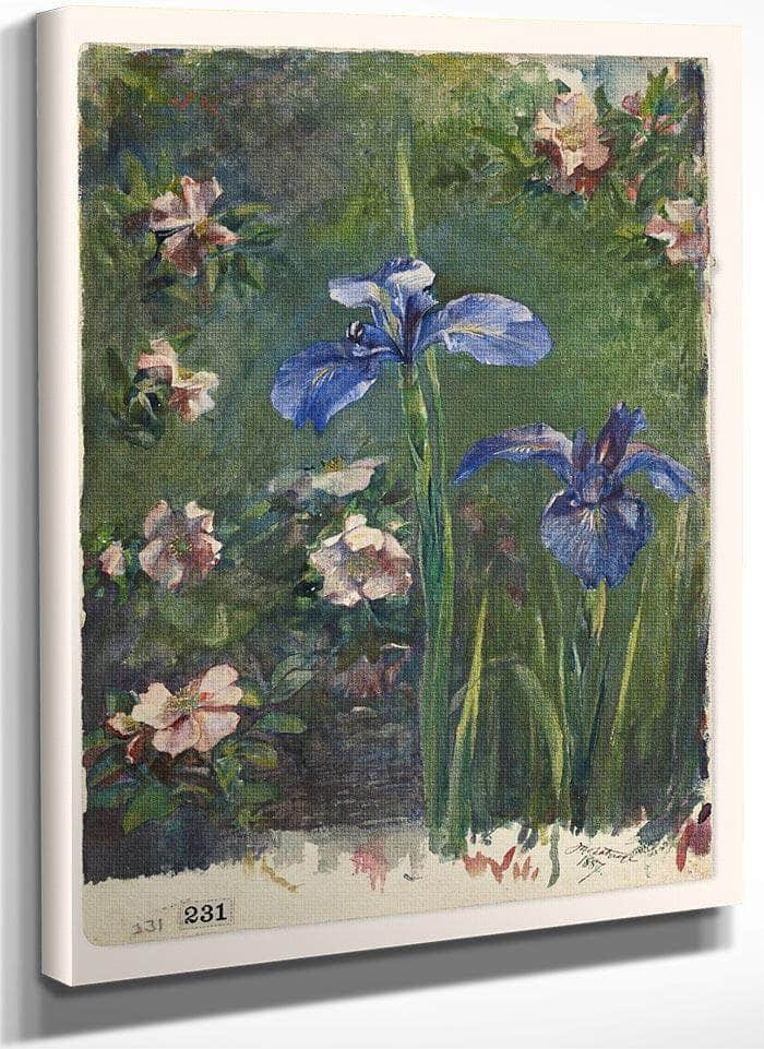 Wild Roses And Irises By John La Farge Fine Art Print