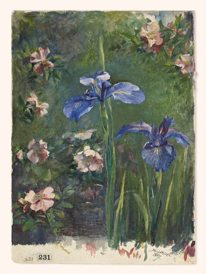 Wild Roses And Irises By John La Farge Fine Art Print