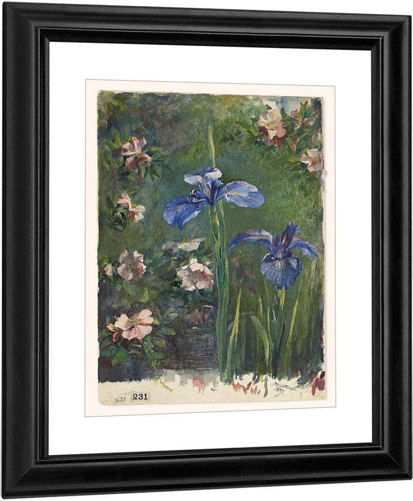Wild Roses And Irises By John La Farge Fine Art Print
