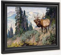 Wind River Bugler By Carl Rungius Fine Art Print