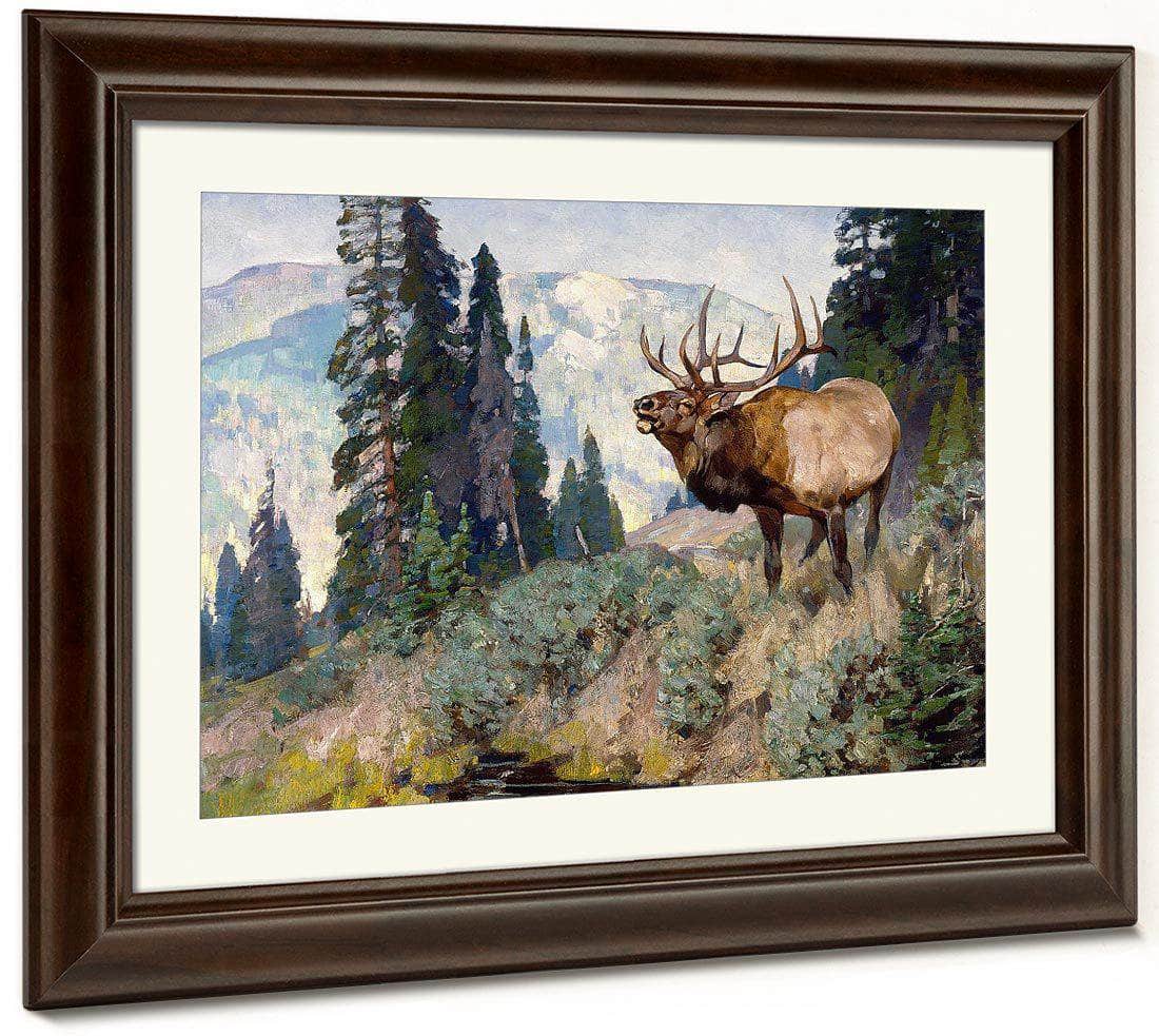 Wind River Bugler By Carl Rungius Fine Art Print