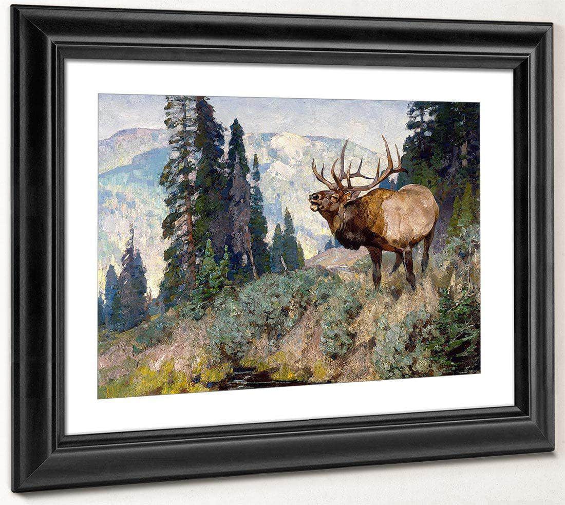 Wind River Bugler By Carl Rungius Fine Art Print