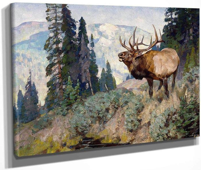 Wind River Bugler By Carl Rungius Fine Art Print