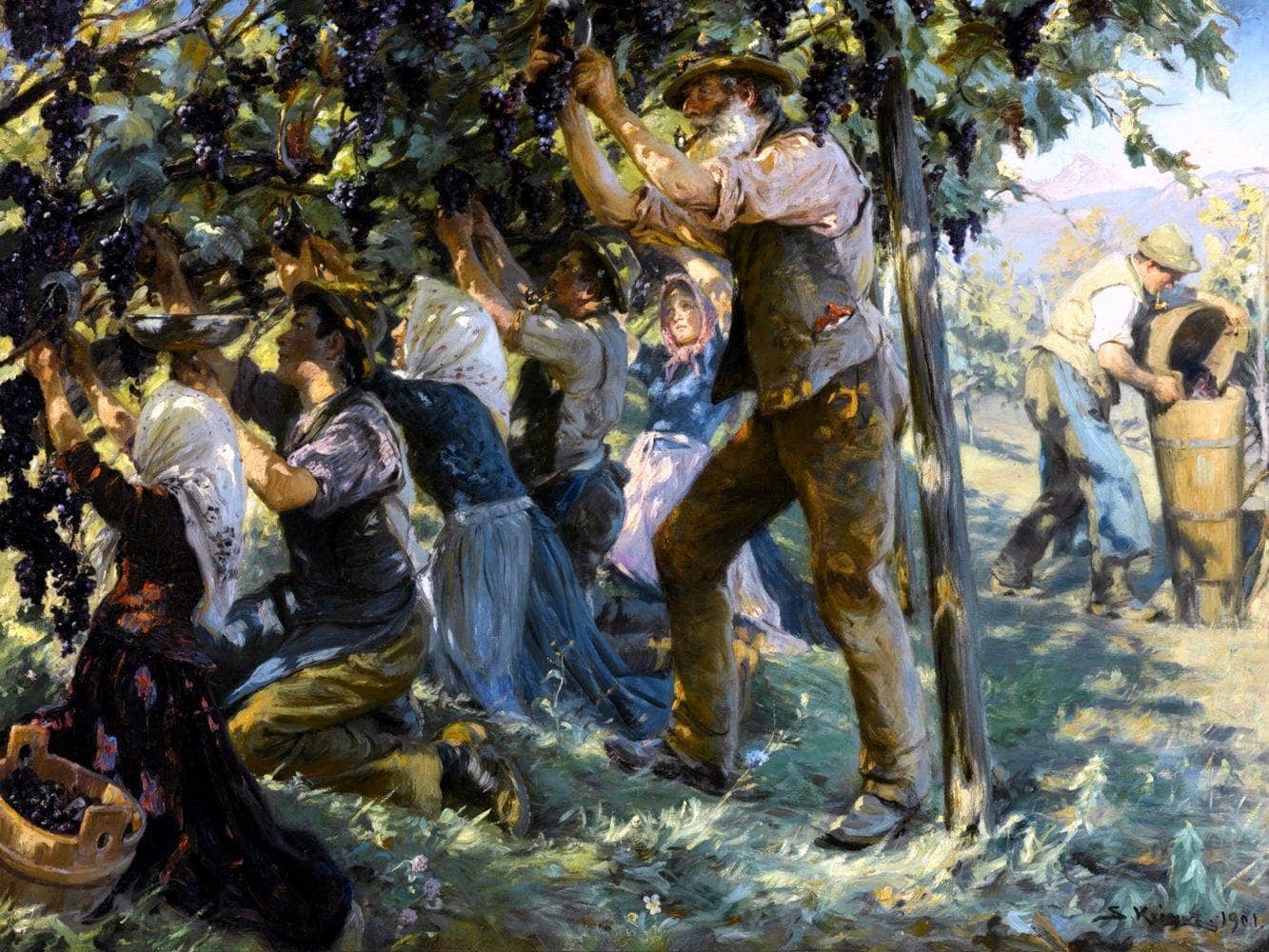 Wine Harvest In The Tyrol Painting Peder Severin Kryer Canvas Art Fine Art Print