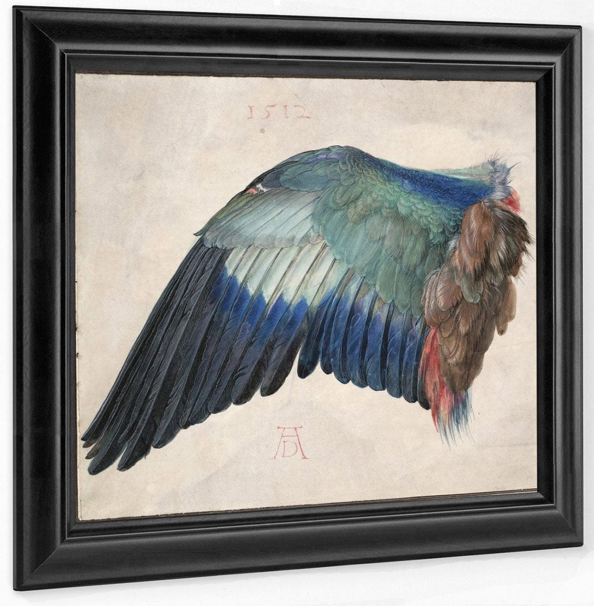 Wing Of A Roller 1500 By Albrecht Durer Fine Art Print