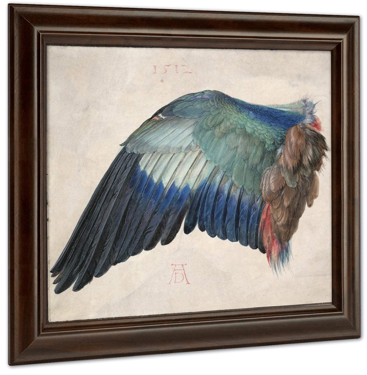 Wing Of A Roller 1500 By Albrecht Durer Fine Art Print