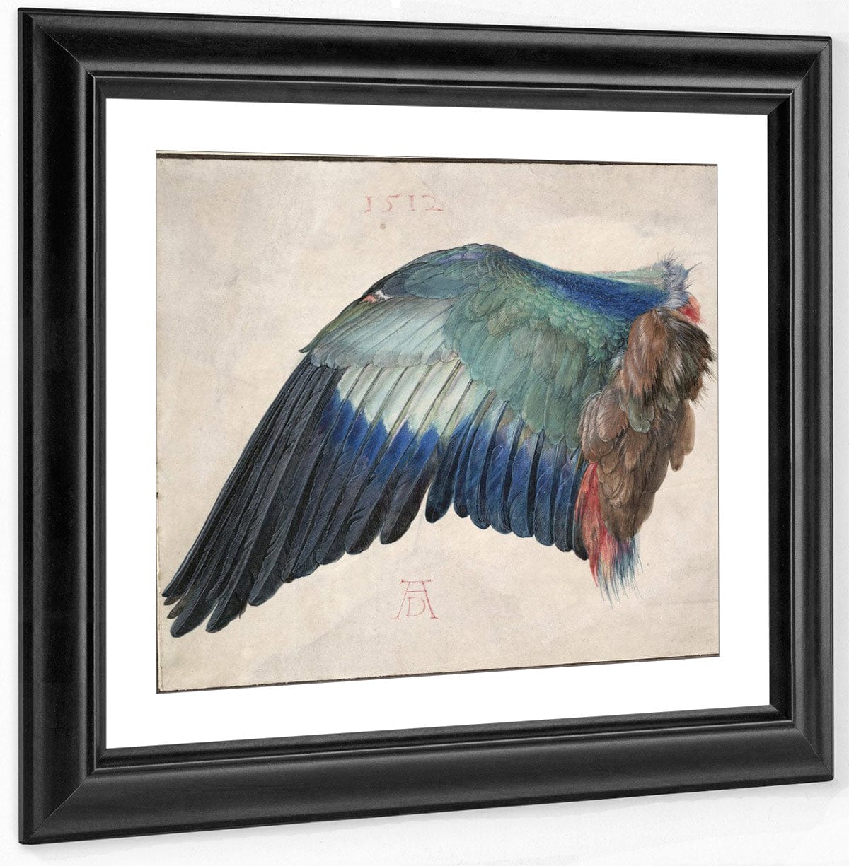 Wing Of A Roller 1500 By Albrecht Durer Fine Art Print