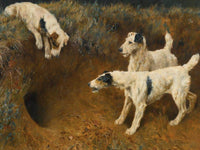 Wire Fox Terriers By A Badger Set By Arthur Wardle Fine Art Print