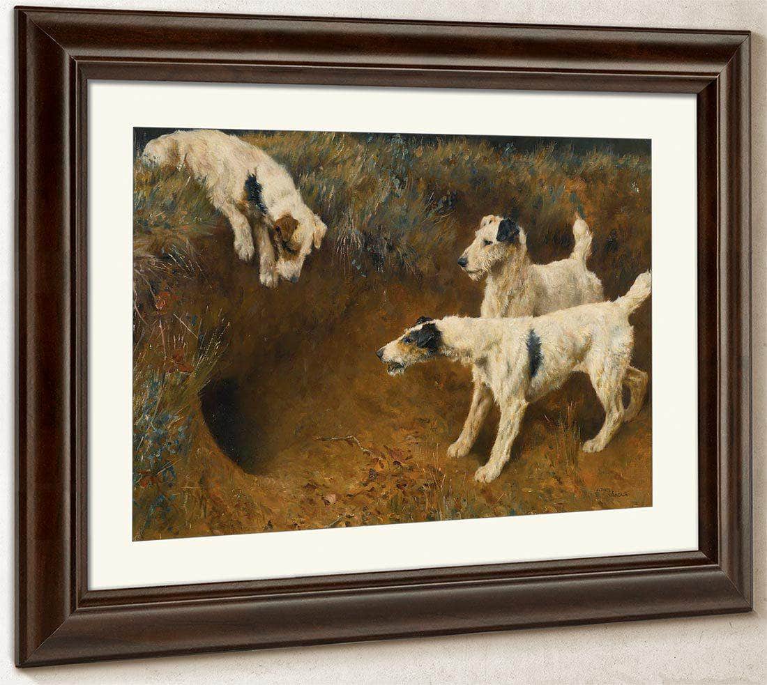 Wire Fox Terriers By A Badger Set By Arthur Wardle Fine Art Print