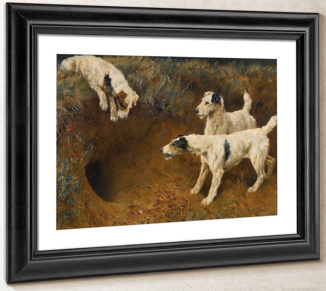 Wire Fox Terriers By A Badger Set By Arthur Wardle Fine Art Print