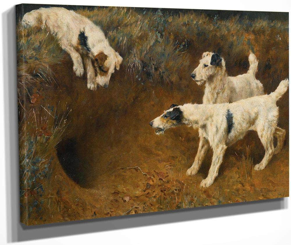 Wire Fox Terriers By A Badger Set By Arthur Wardle Fine Art Print