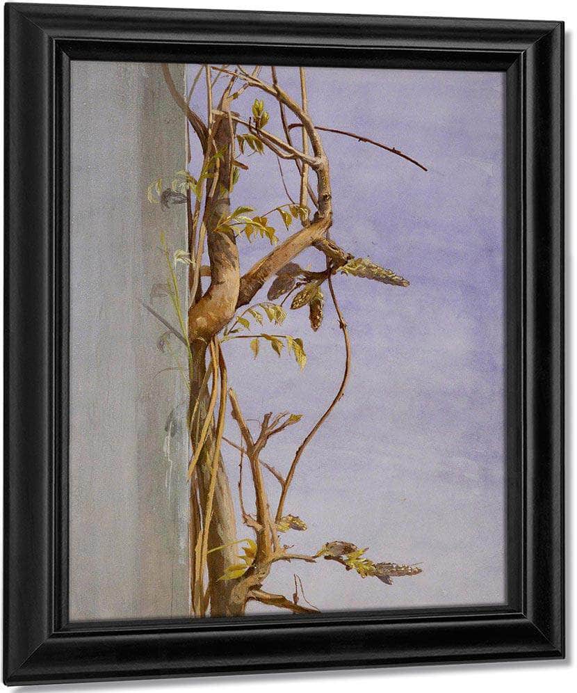 Wisteria On A Wall By Fidelia Bridges Fine Art Print