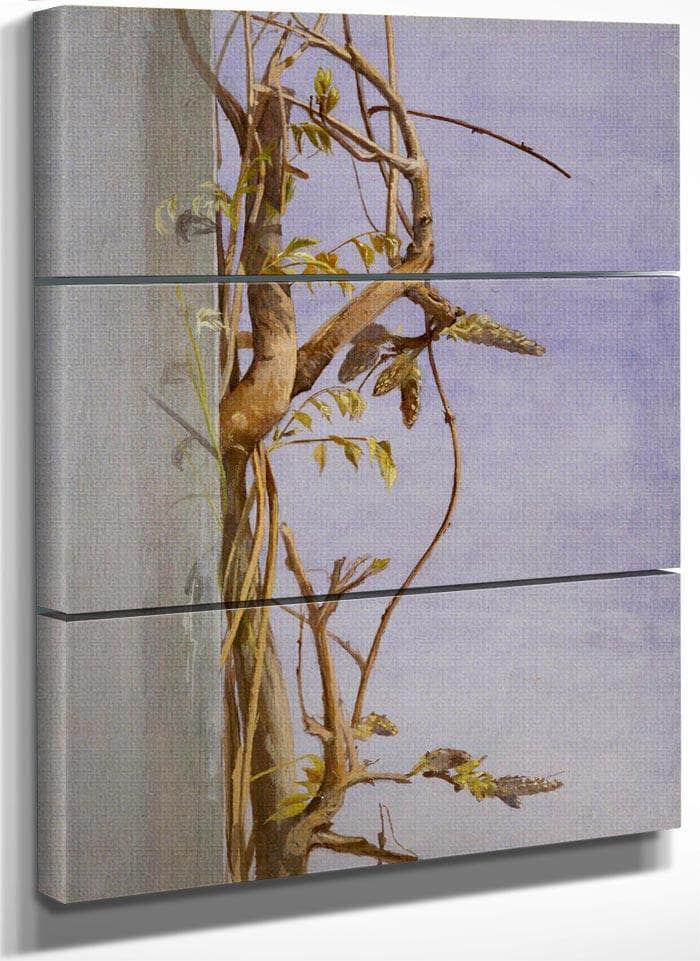 Wisteria On A Wall By Fidelia Bridges Fine Art Print