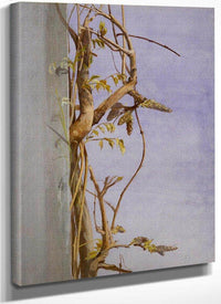 Wisteria On A Wall By Fidelia Bridges Fine Art Print