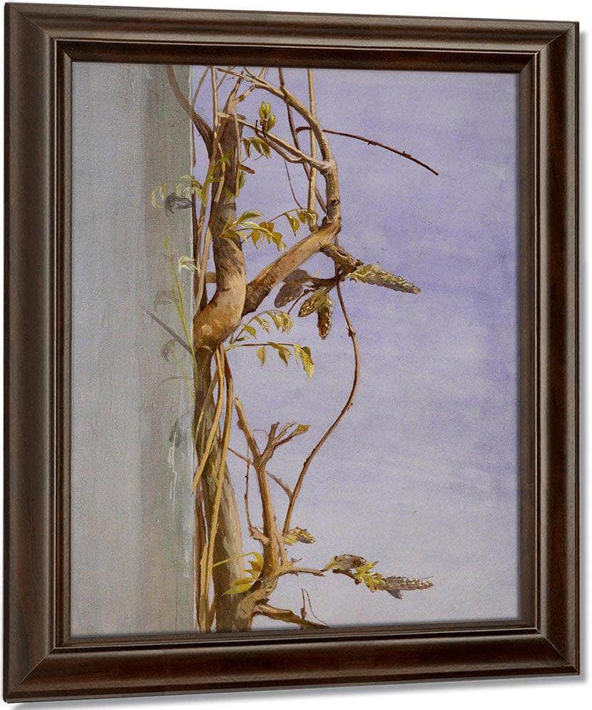 Wisteria On A Wall By Fidelia Bridges Fine Art Print