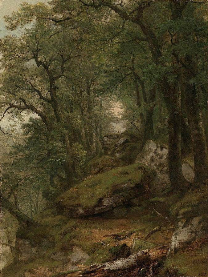 Woodland Interior By Asher B Durand Fine Art Print