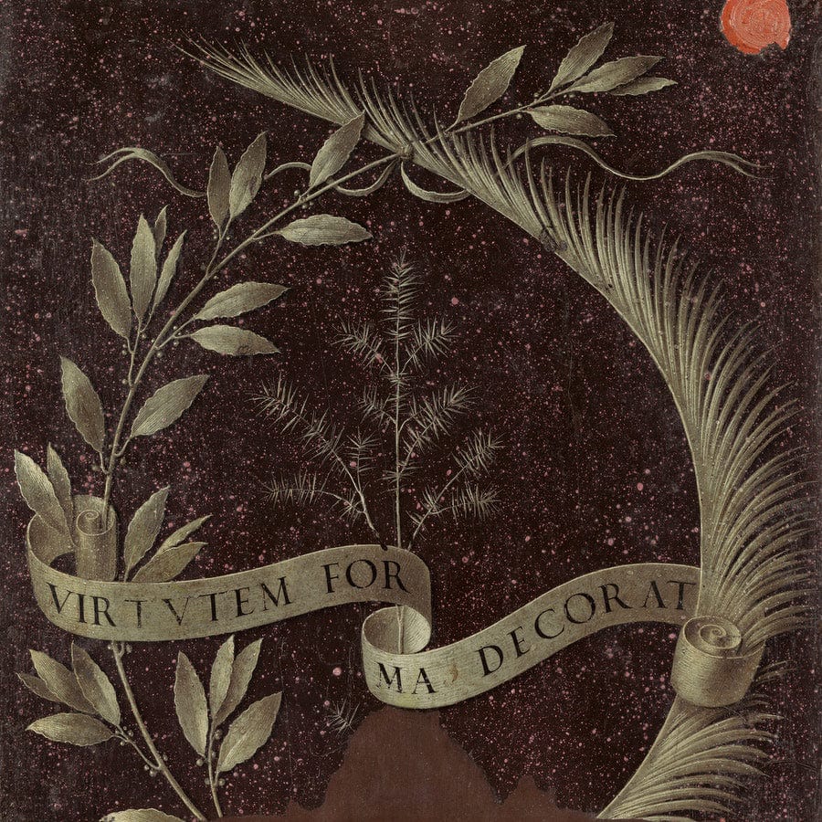 Wreath Of Laurel Palm And Juniper With A Scroll Inscribed Virtutem Forum Decorat [Reverse] By Leonardo Da Vinci Fine Art Print