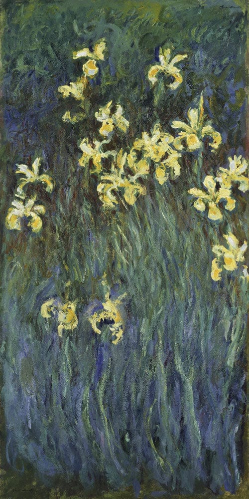 Yellow Irises 2 By Claude Monet Fine Art Print