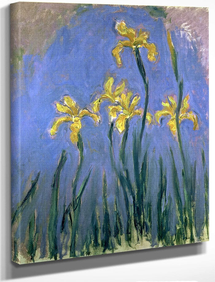 Yellow Irises By Claude Monet Fine Art Print