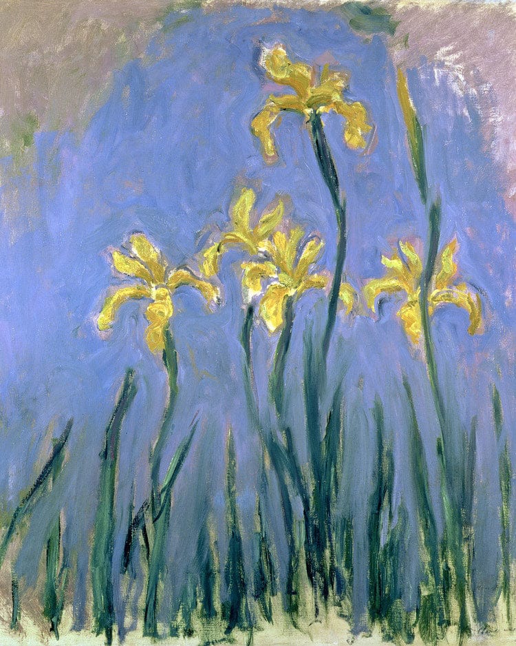 Yellow Irises By Claude Monet Fine Art Print