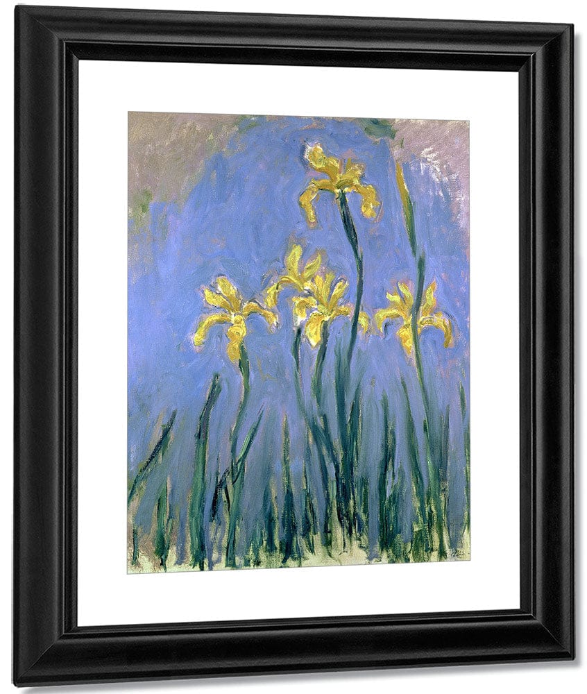 Yellow Irises By Claude Monet Fine Art Print