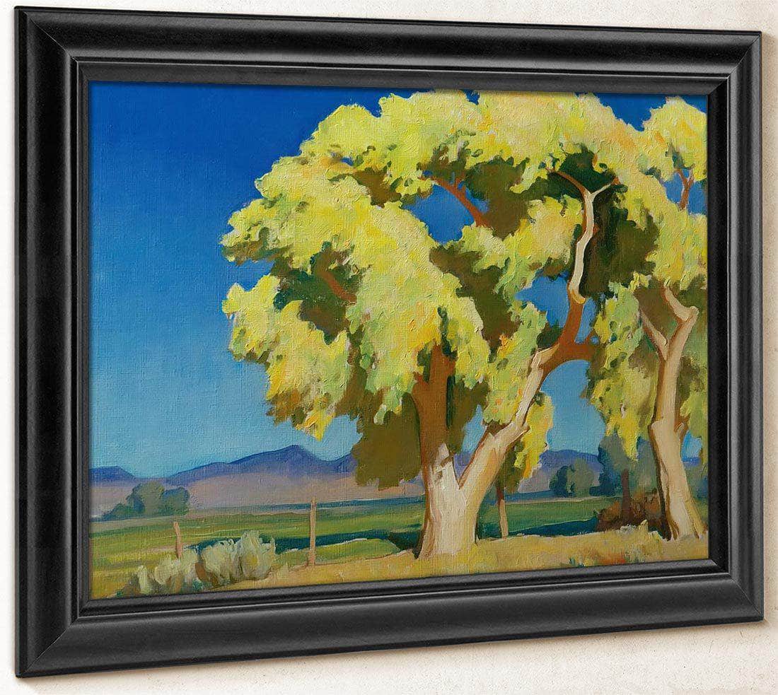 Young Cottonwoods By Maynard Dixon Fine Art Print