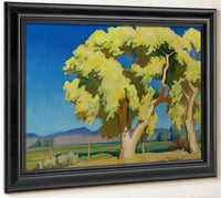 Young Cottonwoods By Maynard Dixon Fine Art Print