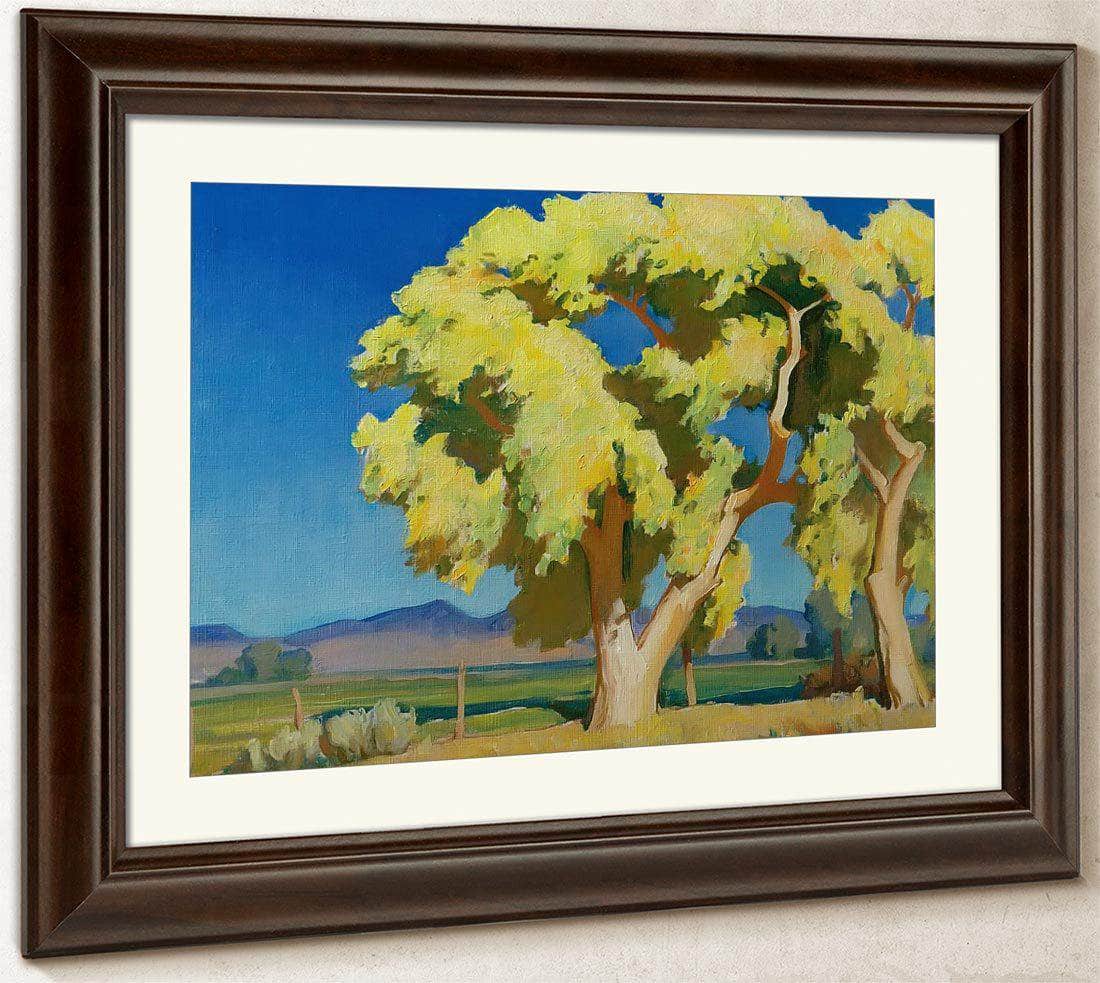 Young Cottonwoods By Maynard Dixon Fine Art Print