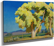 Young Cottonwoods By Maynard Dixon Fine Art Print