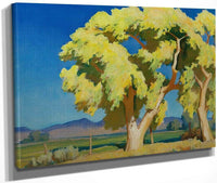Young Cottonwoods By Maynard Dixon Fine Art Print