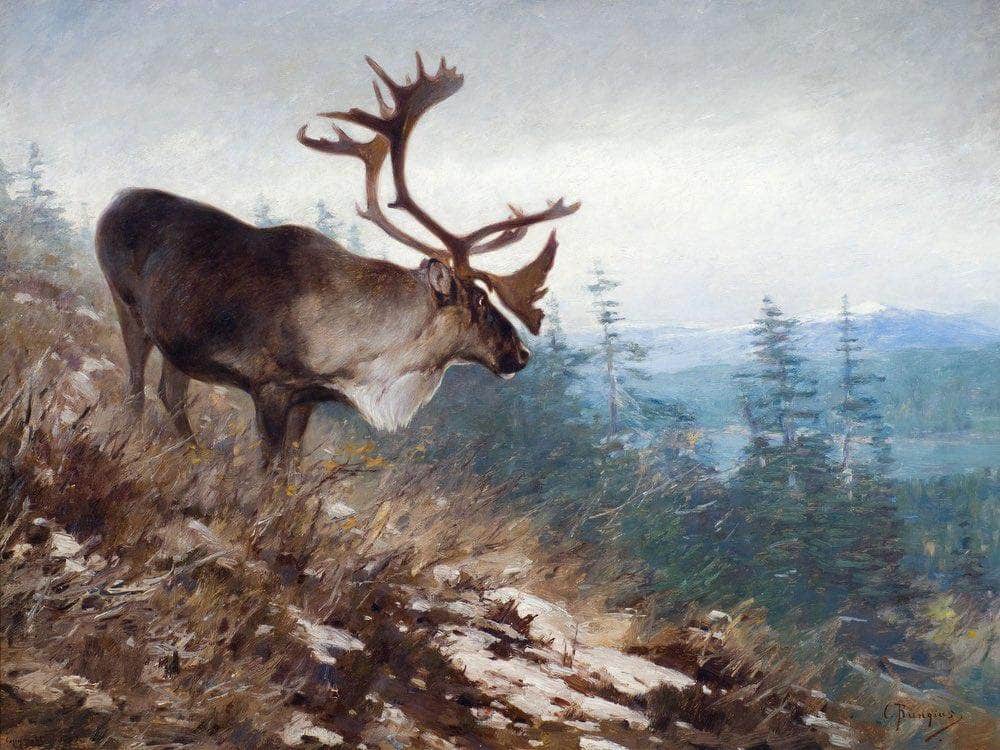 Yukon King Caribou By Carl Rungius Fine Art Print