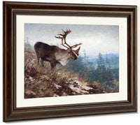 Yukon King Caribou By Carl Rungius Fine Art Print